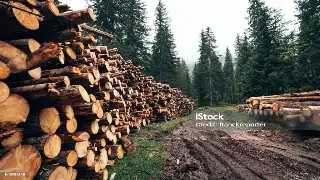 引领潮流：长沙桑拿按摩行业的未来趋势与发展 封面