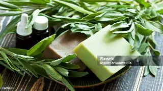 长沙桑拿按摩行业新篇章：技术革新引领健康养生新潮流 封面