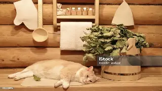 长沙按摩养生新纪元：当传统遇上AI，按摩机器人能否捏走你的疲惫？