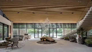 颠覆传统！长沙按摩养生迎来技术革新浪潮，个性化定制成主流！ 特色图片