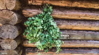 长沙桑拿圈大地震？最新政策解读与行业未来走向，这些你必须知道！