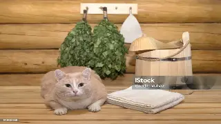 按摩小白必看：解锁全身舒缓的黄金时间秘籍！ 封面